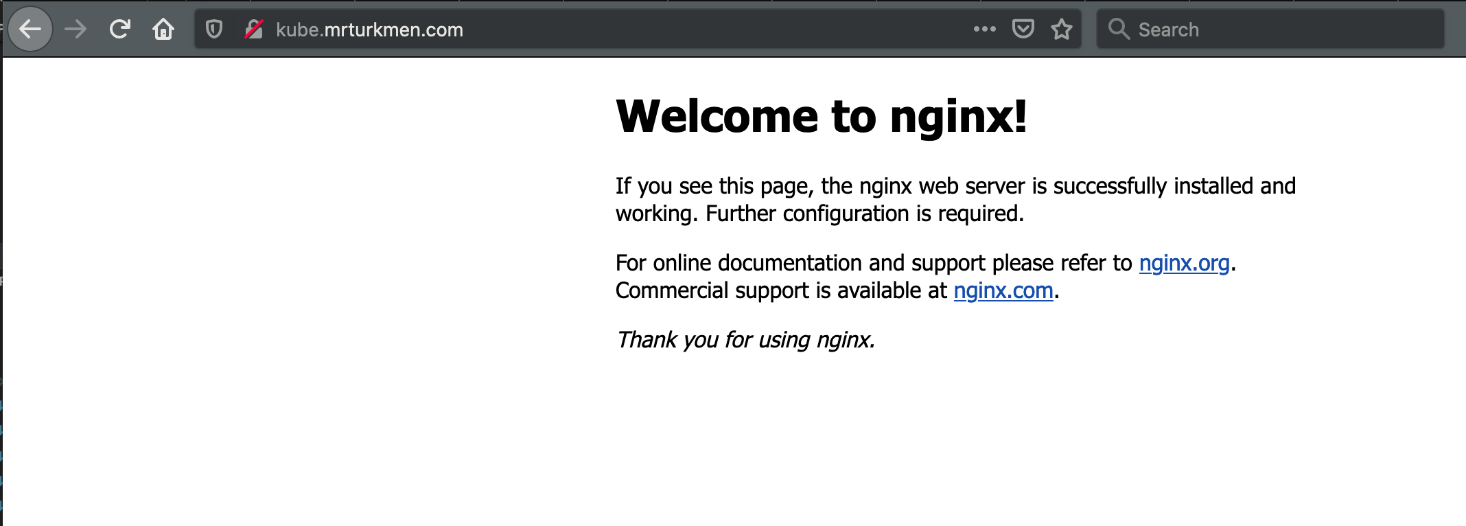 NGINX WEB SERVER DEPLOYMENT RESULT